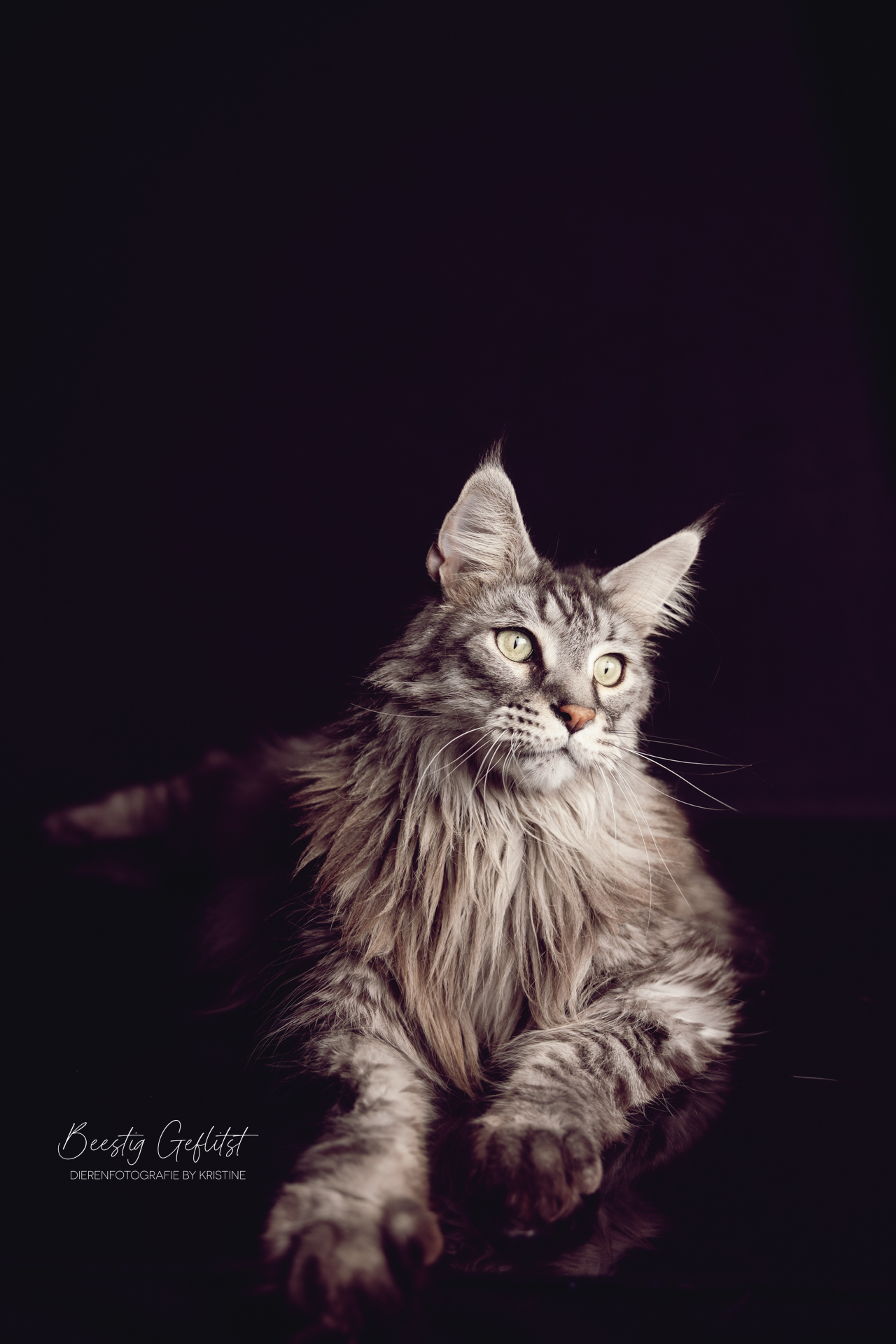 25 -Beestig Geflitst-9206